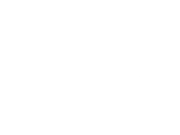 Husslaire